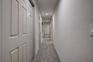  Photo 50