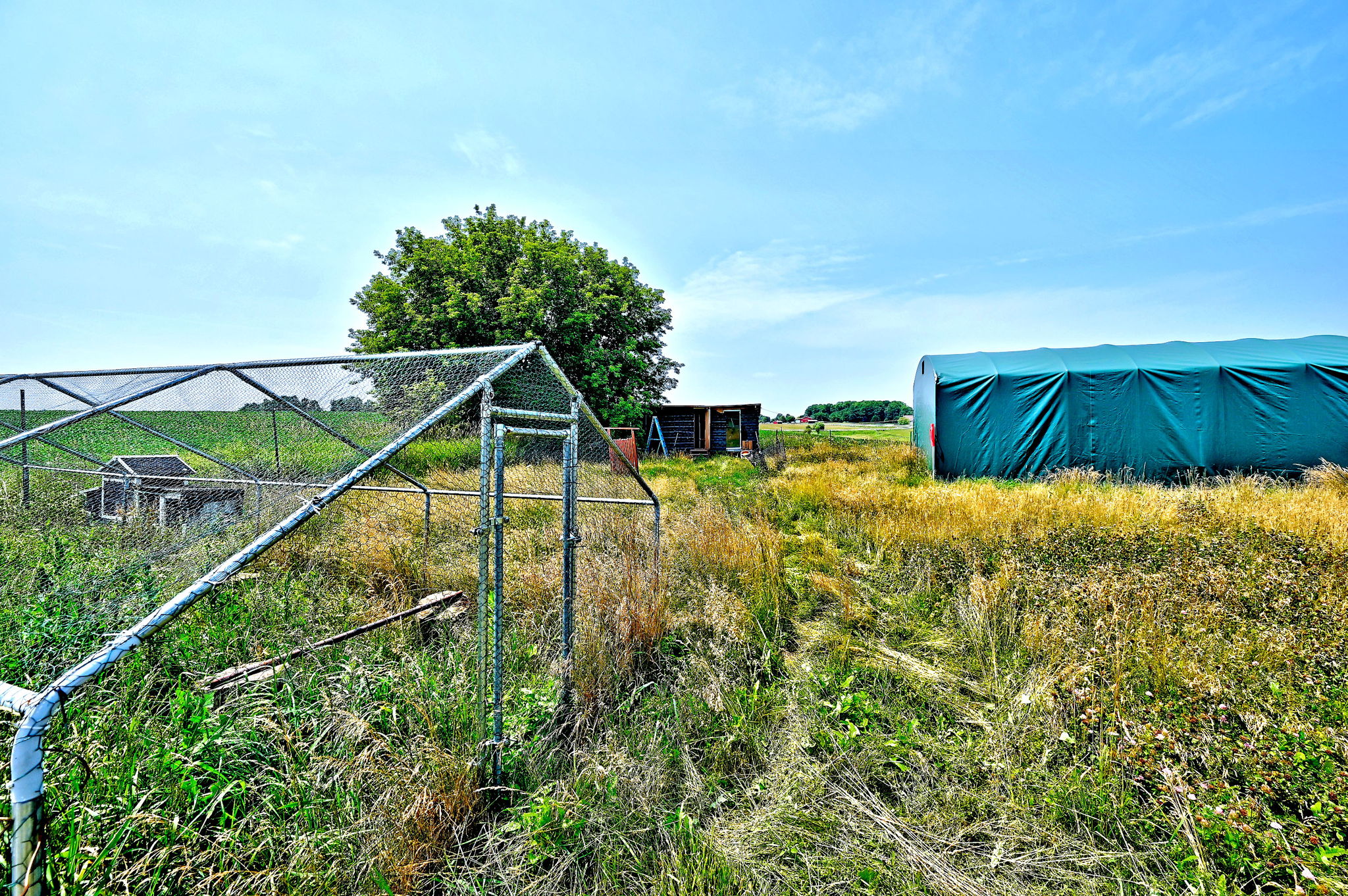  Photo 81