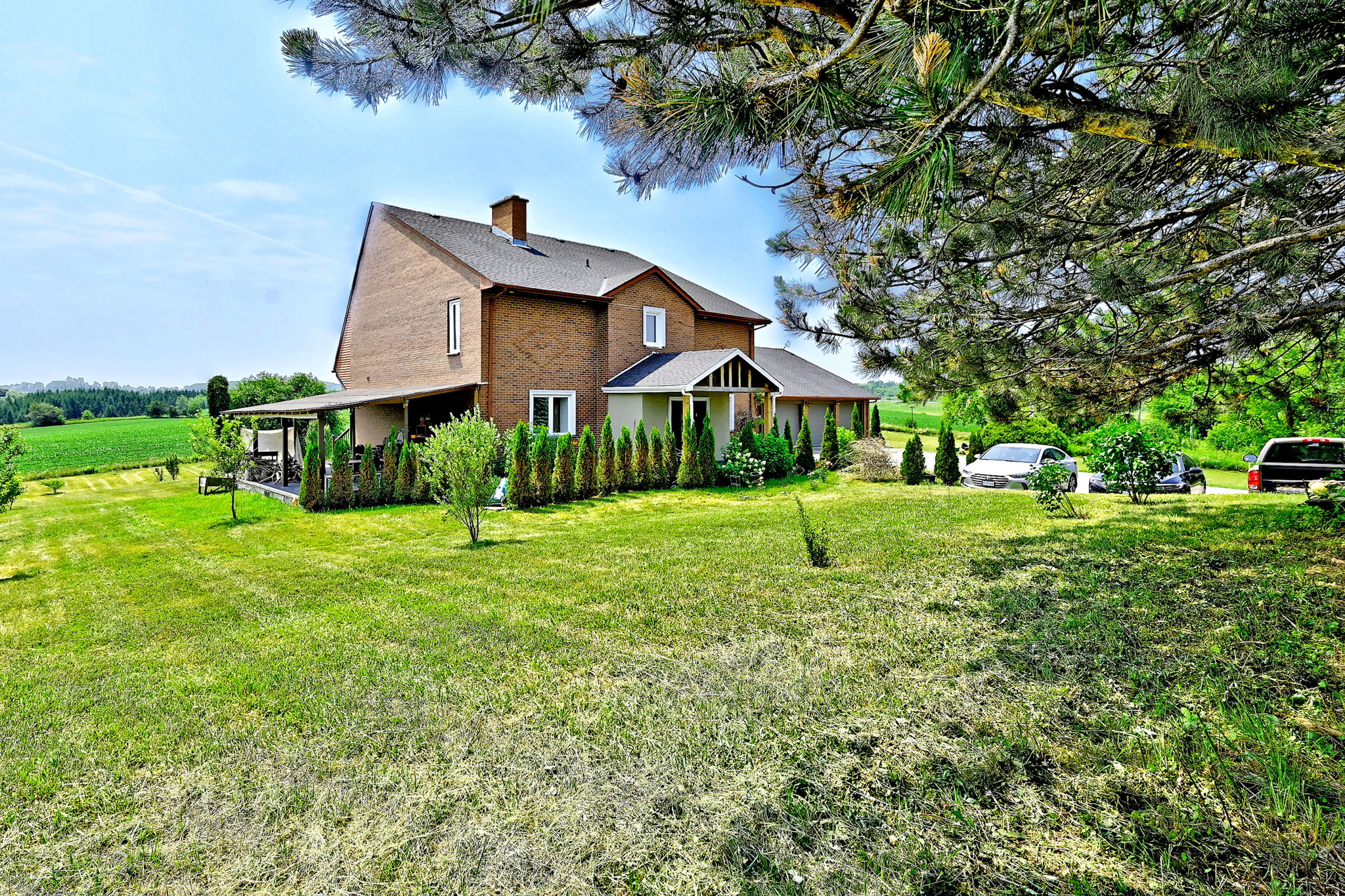  Photo 8