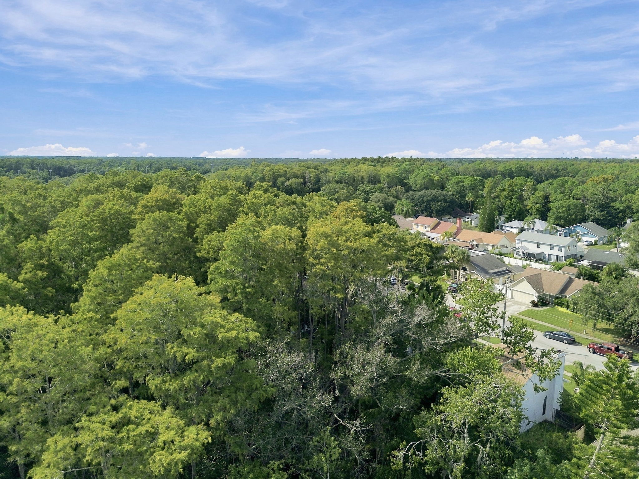 DJI_0091