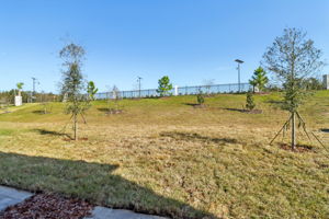 Orlando - The Reserve at Hammock Oaks - 721 Spartina Way Lady Lake FL 32159 - 029