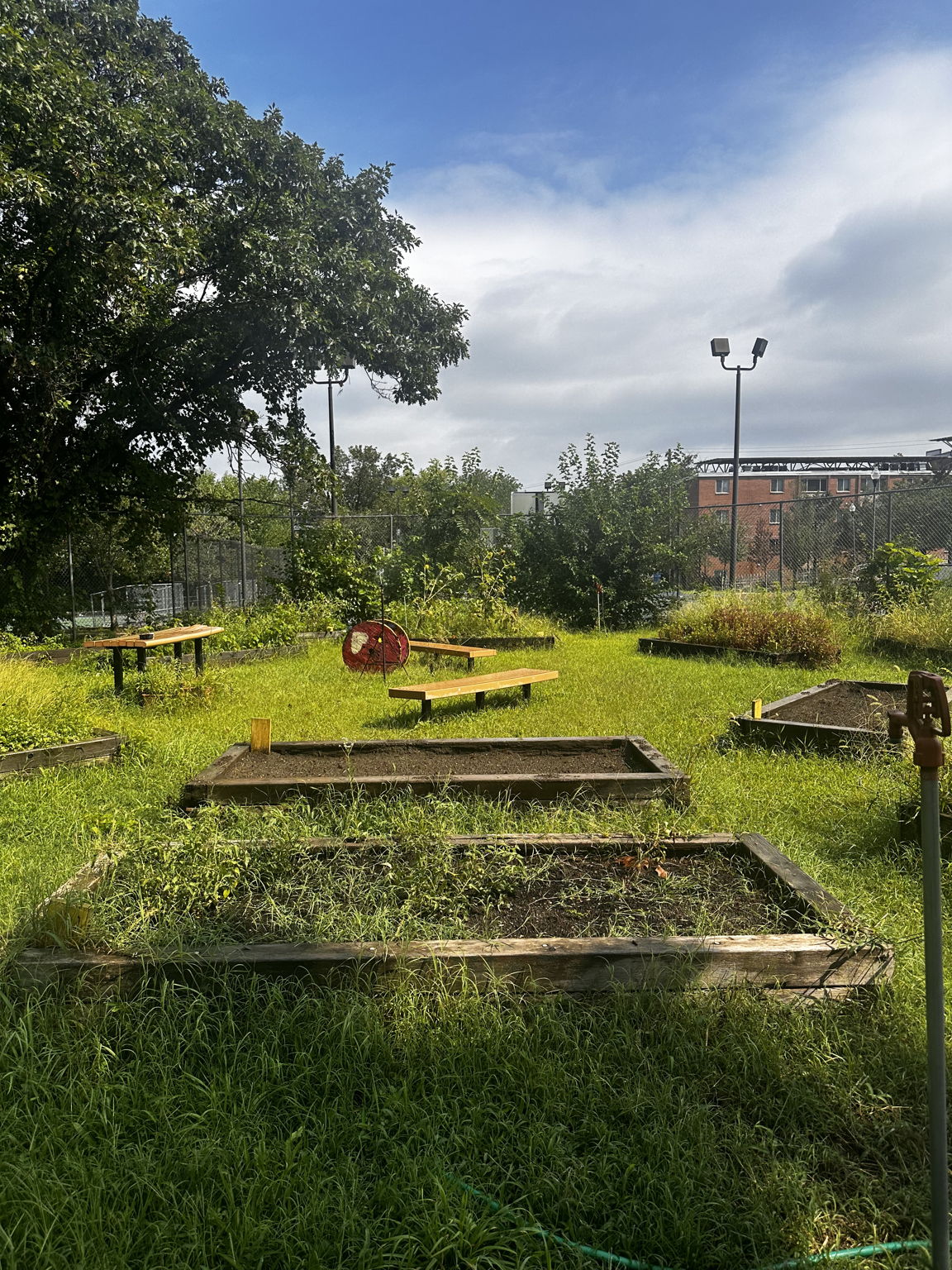 Community Garden