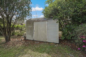 Shed