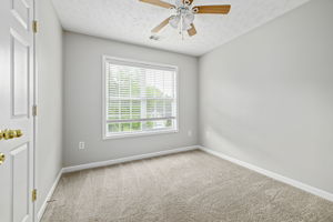 Image-19