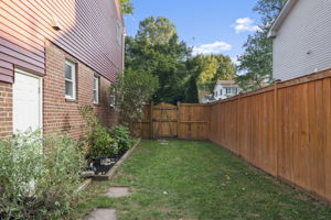  Photo 49