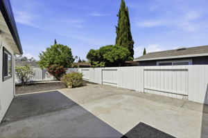  Photo 41