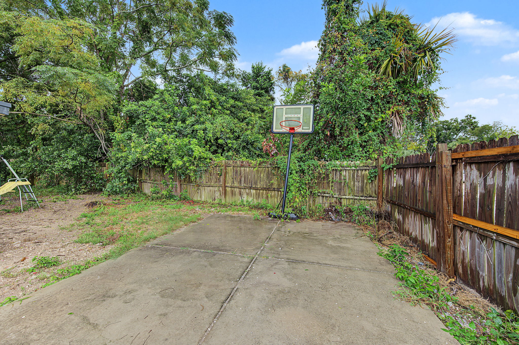 Backyard3