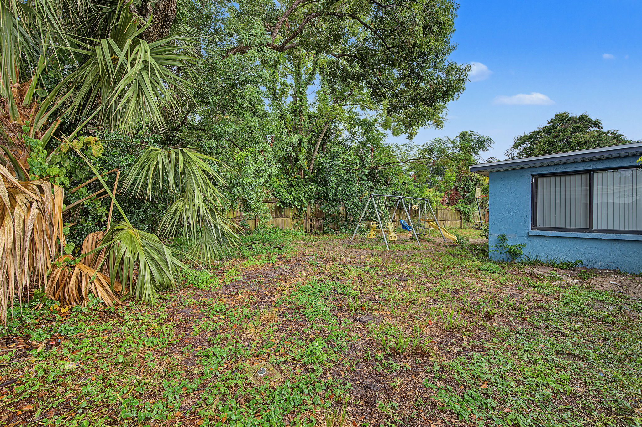 Backyard6