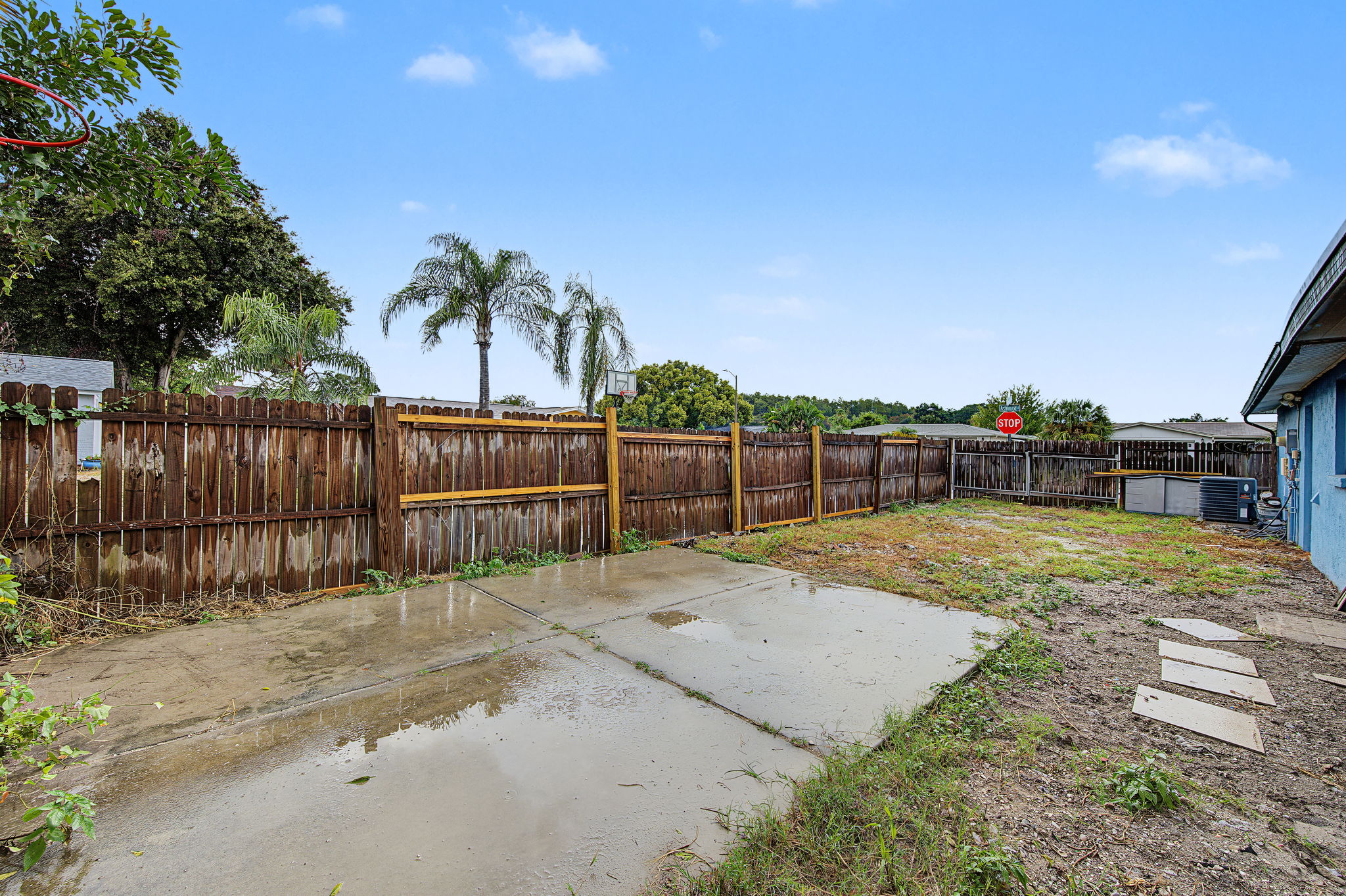 Backyard9