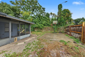 Backyard2