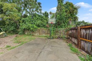 Backyard3
