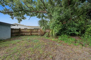 Backyard5