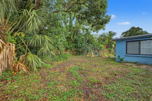 Backyard6
