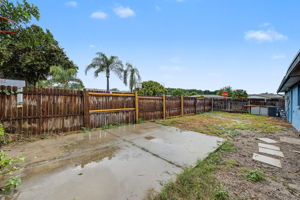 Backyard9