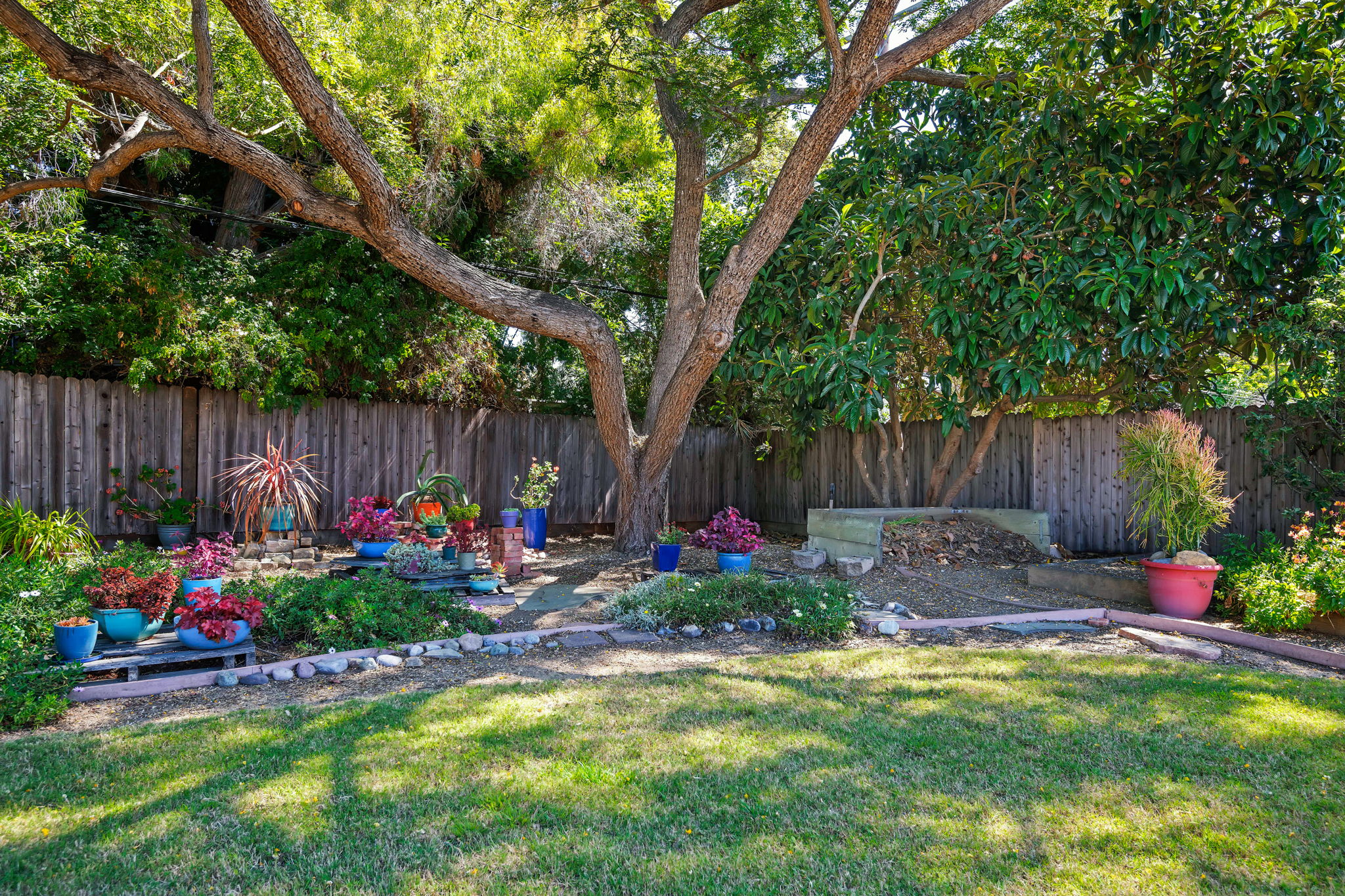 17 - Back Yard