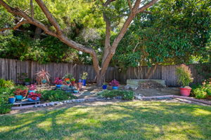 17 - Back Yard