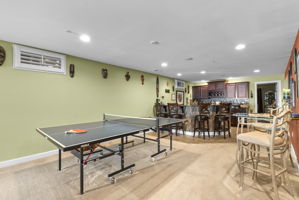 Recreation Room and Bar