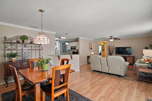 Living and Dining Rooms