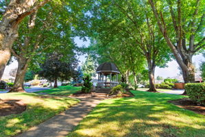 Community Gazebo and picnic bench