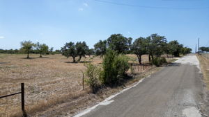  Photo 0