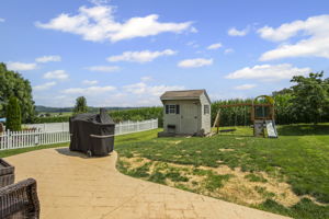  Photo 43