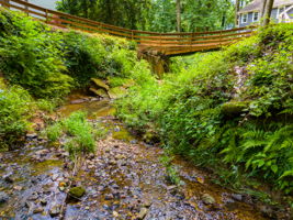 mppmedia7250huntersbranchdr49