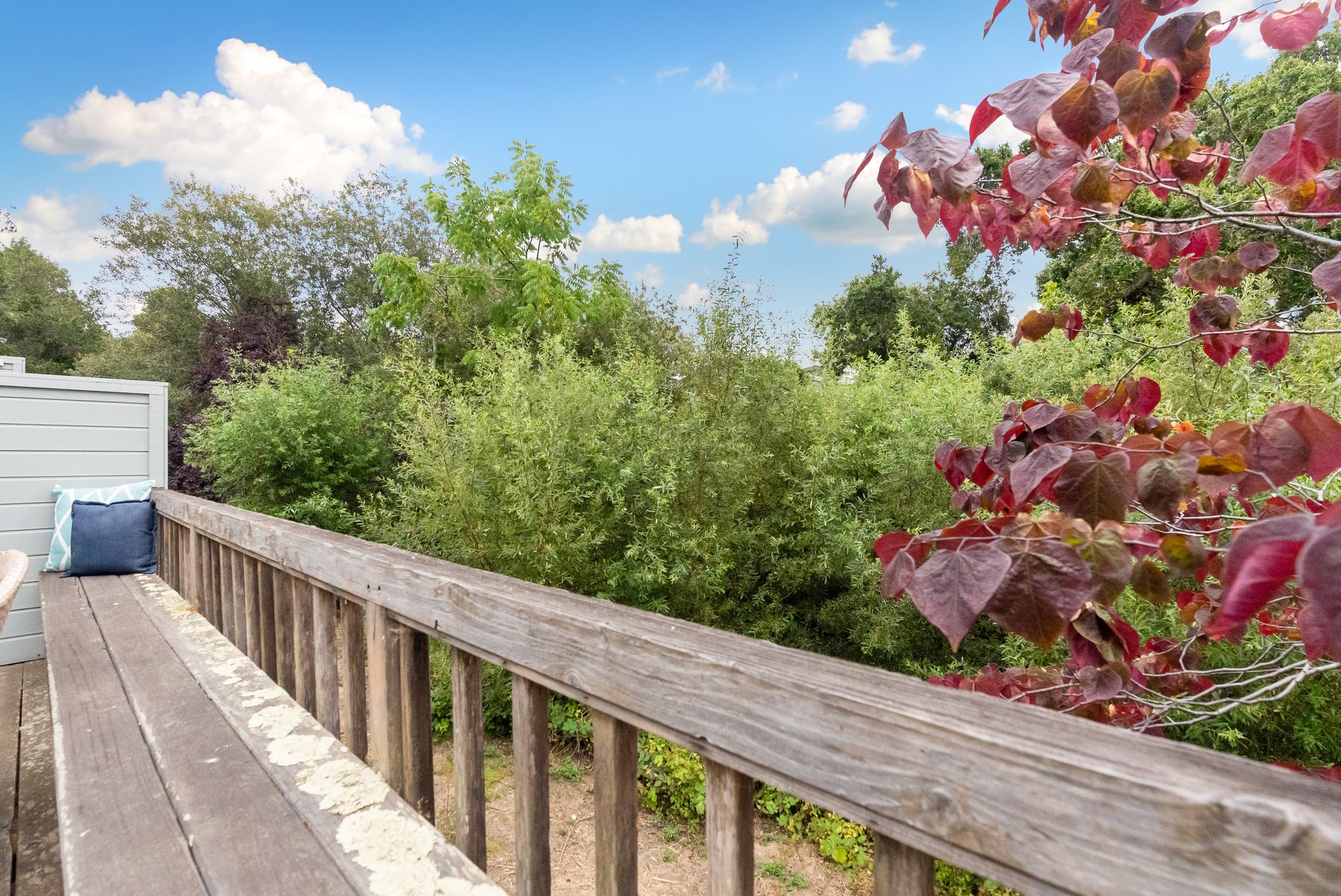 7250 Lotus Way, Aptos, CA 95003 Peak Elevation Media