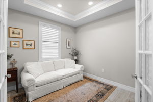Den/office with glass double door entry