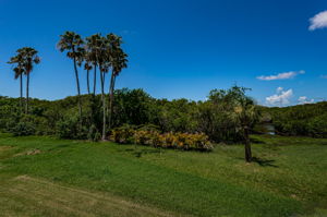 Deck Backyard View1