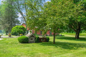  Photo 31