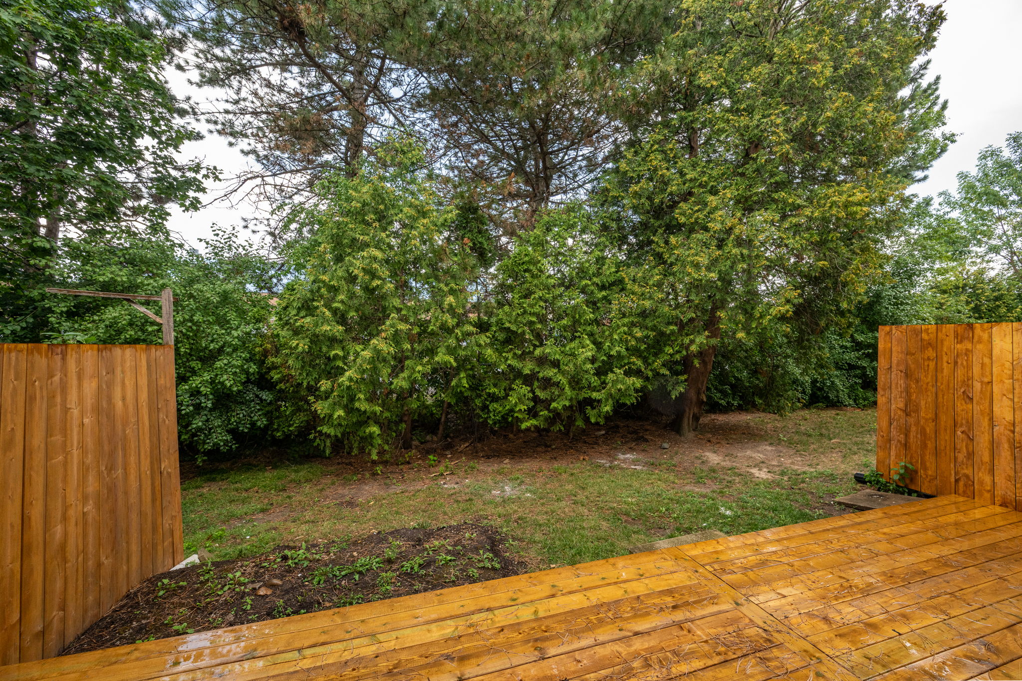  Photo 35