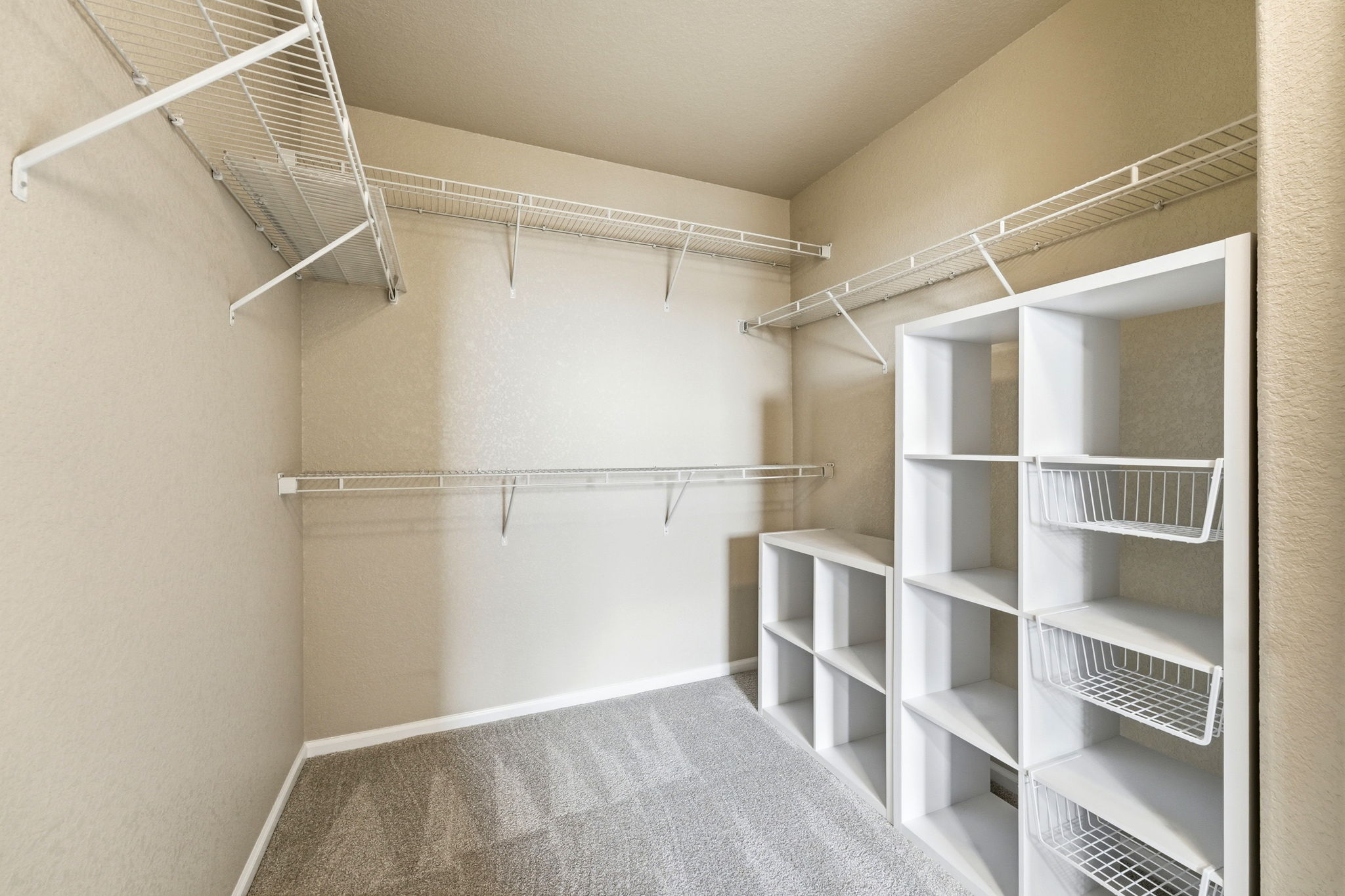 Walk-in Primary Closet