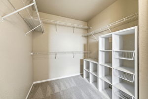 Walk-in Primary Closet