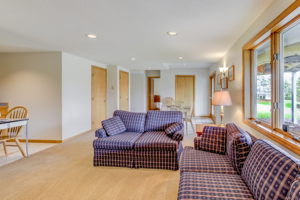 Lower Level Family Room