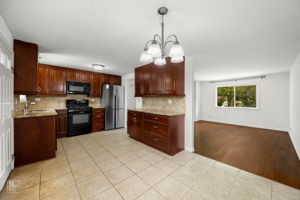 728 Boxwood Dr, Schaumburg, IL 60193_003