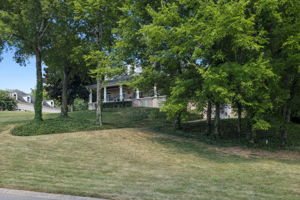  Photo 0