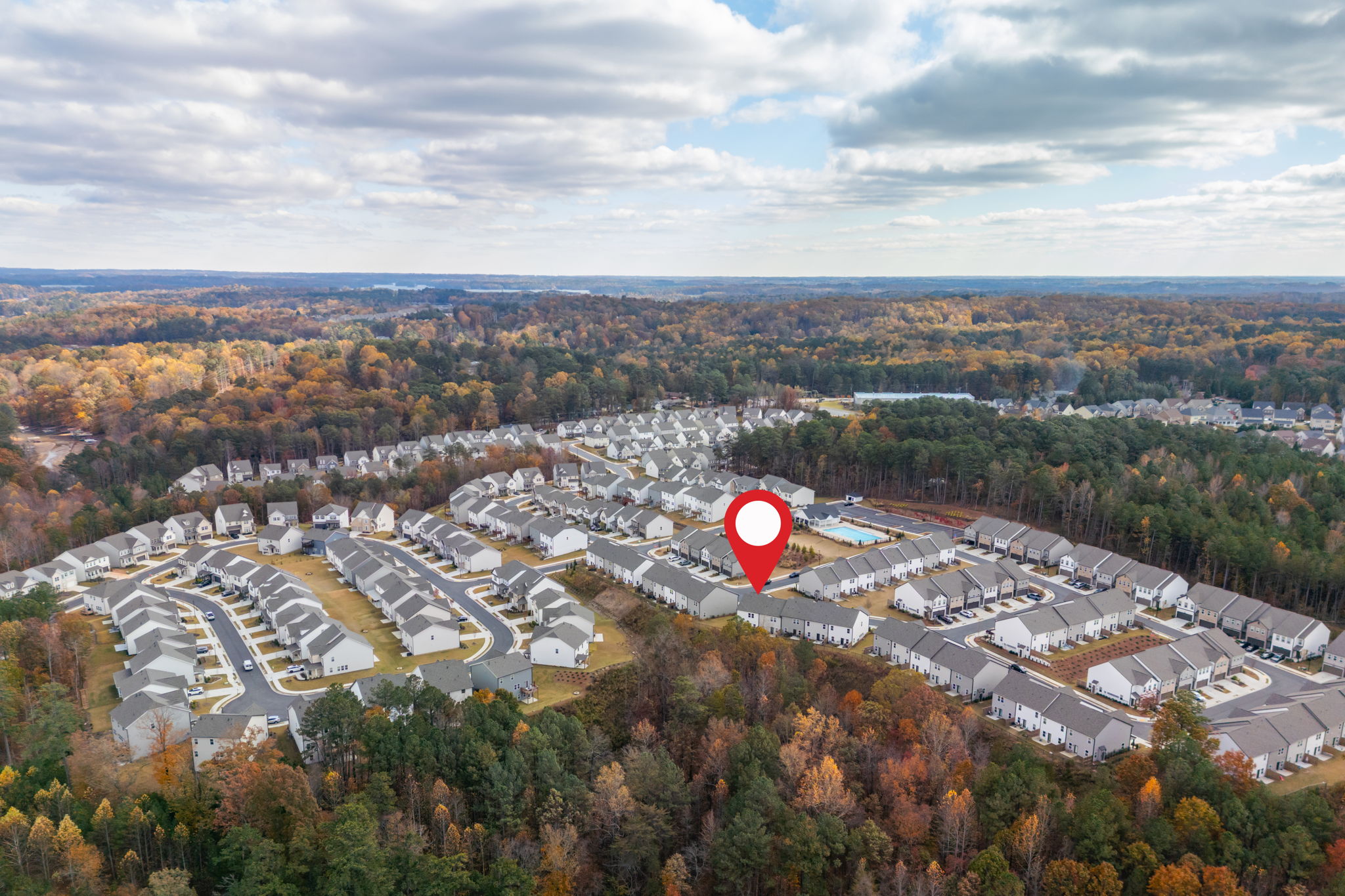 I am loving the Trees - come see them before they all drop.