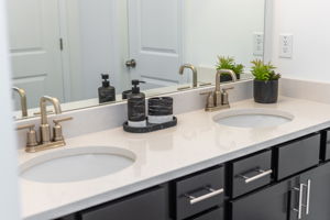 Master Bath w Dual Sinks.