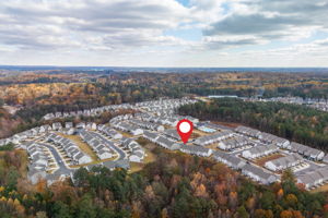 I am loving the Trees - come see them before they all drop.