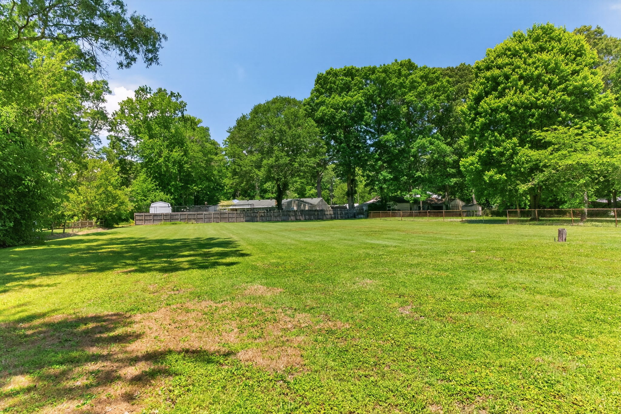 Massive Back Yard
