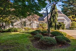  Photo 0
