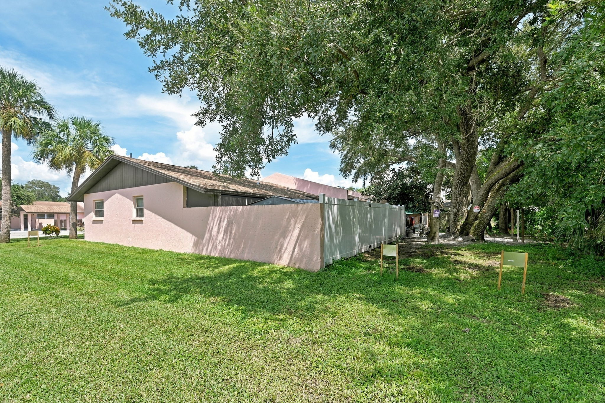 Backyard1