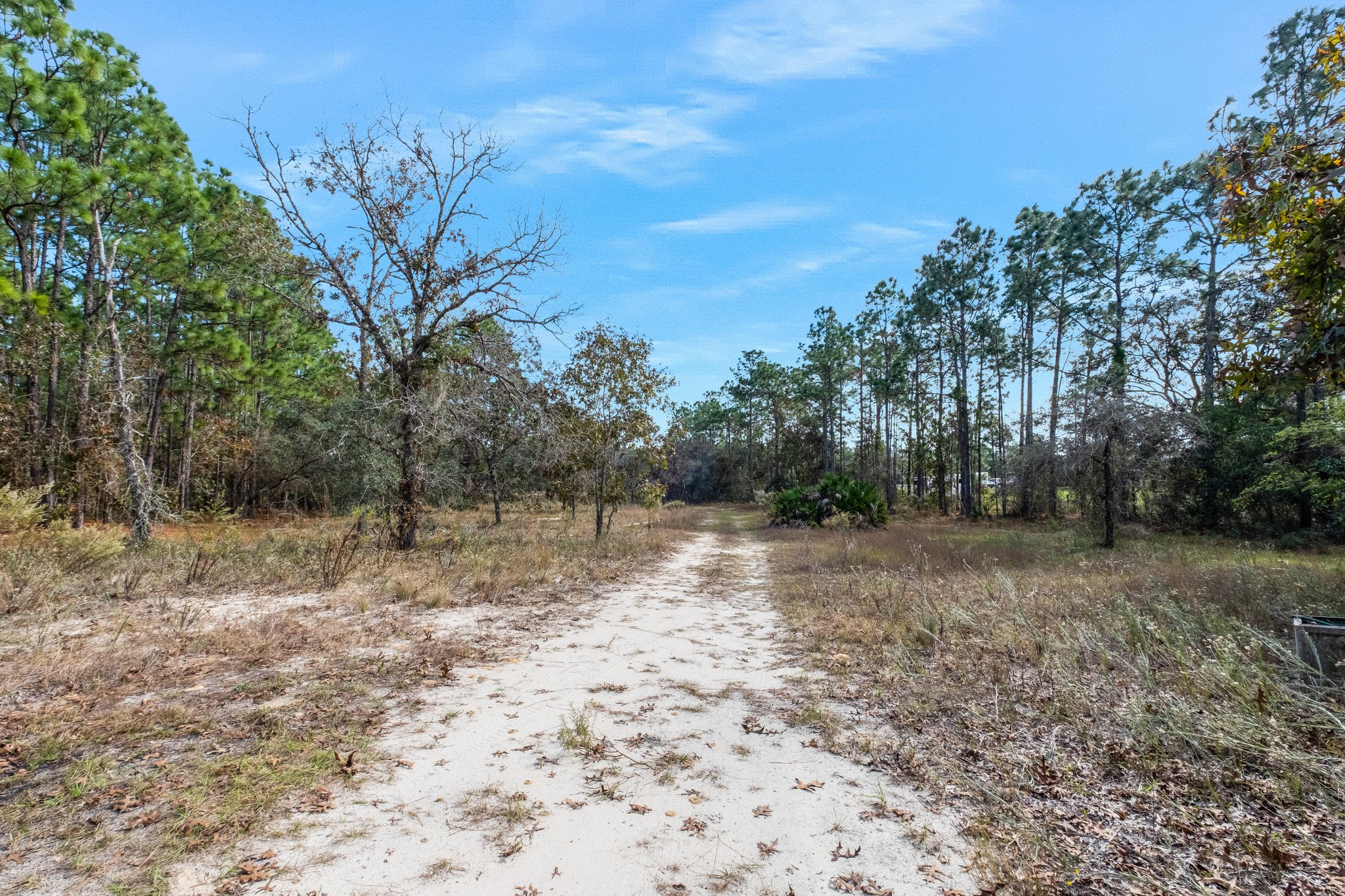 7296 S Ridge Point, Homosassa, FL 34446, USA Photo 32