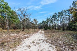 7296 S Ridge Point, Homosassa, FL 34446, USA Photo 31