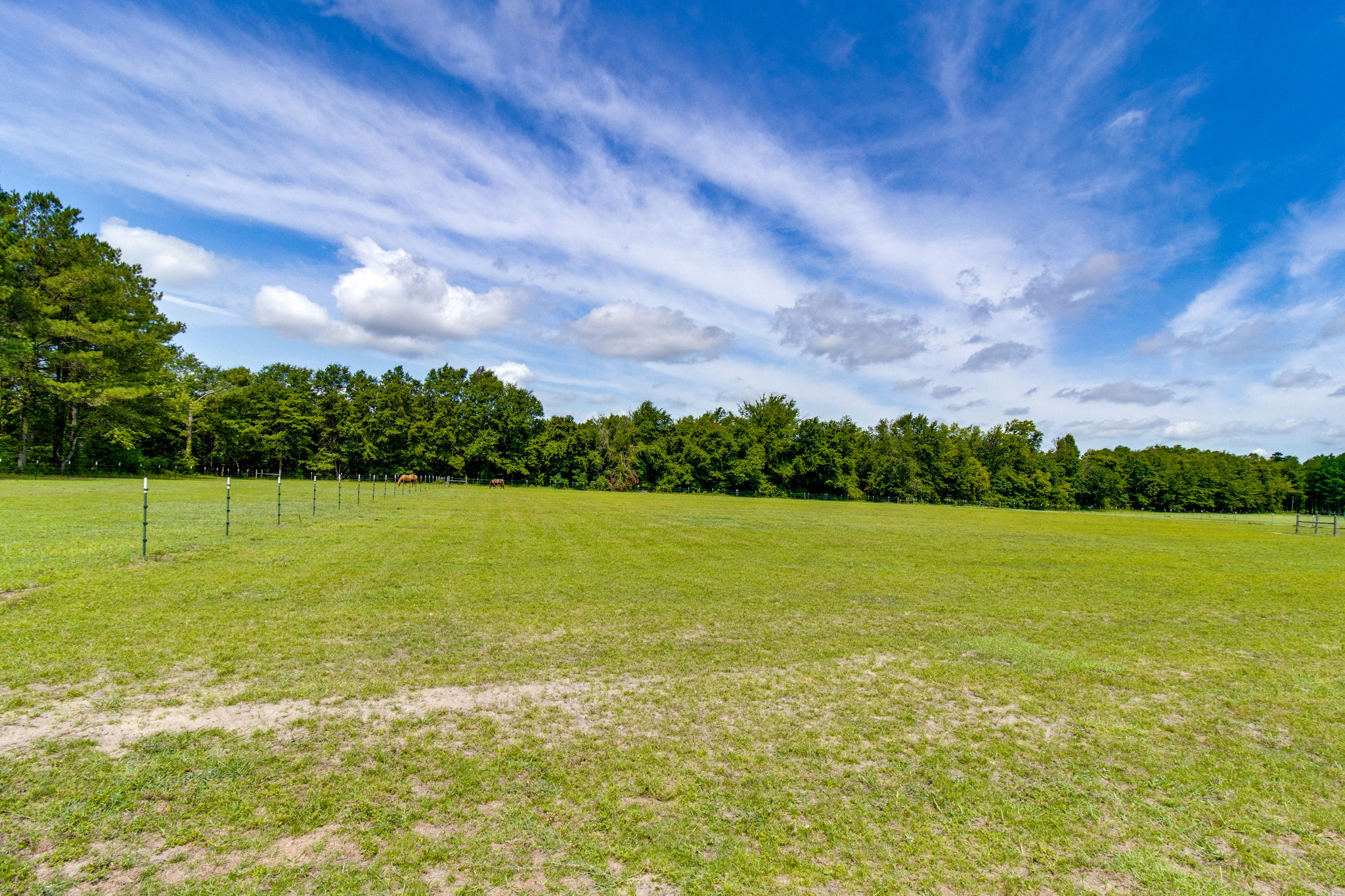 7297 Cabin Creek Rd, Eastover, SC 29044, USA Photo 40