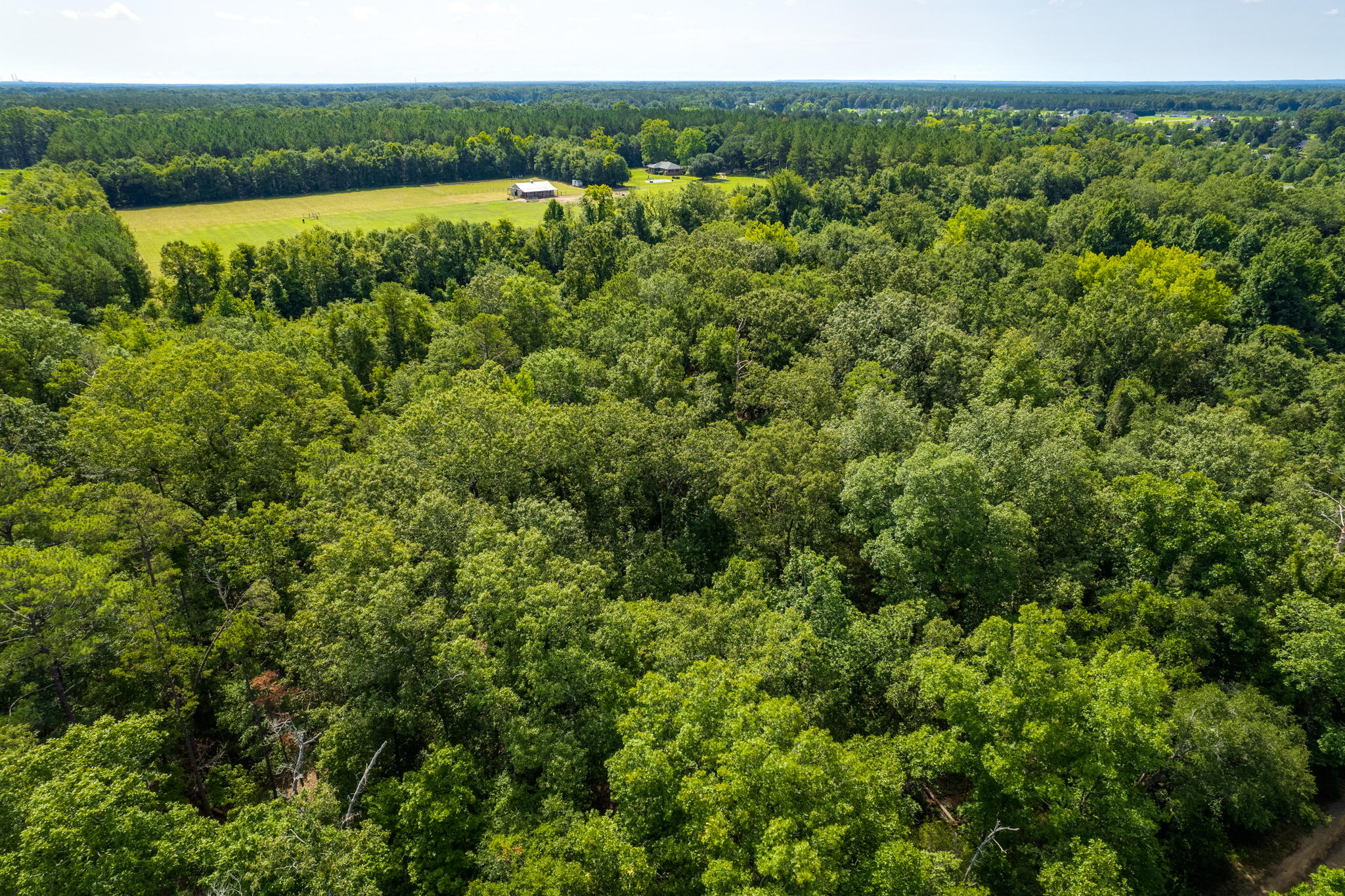 7297 Cabin Creek Rd, Eastover, SC 29044, USA Photo 60