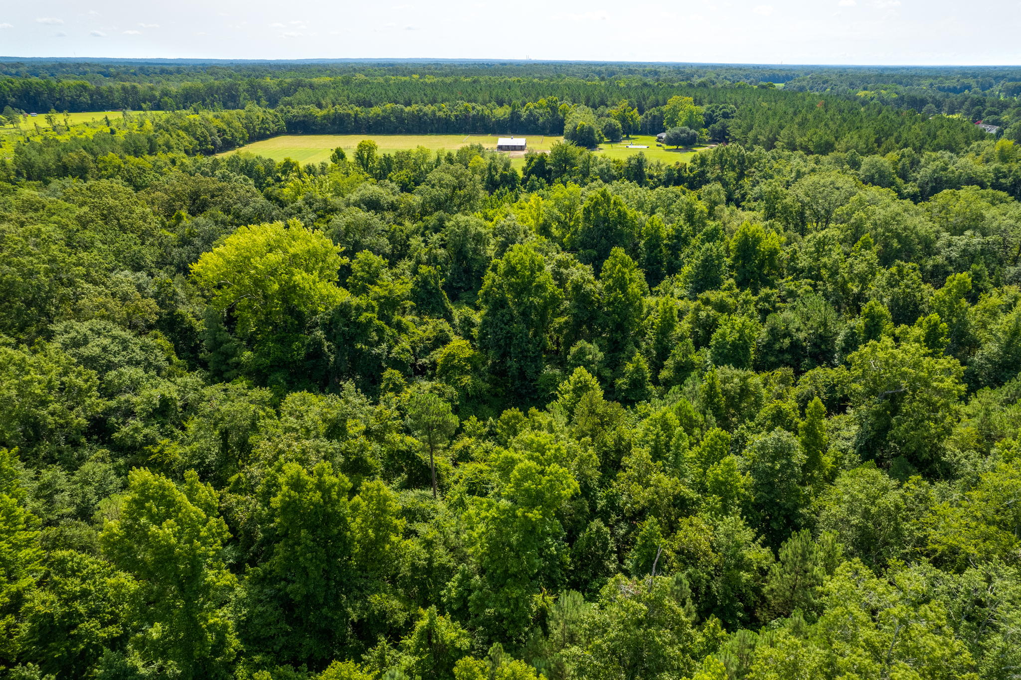 7297 Cabin Creek Rd, Eastover, SC 29044, USA Photo 59