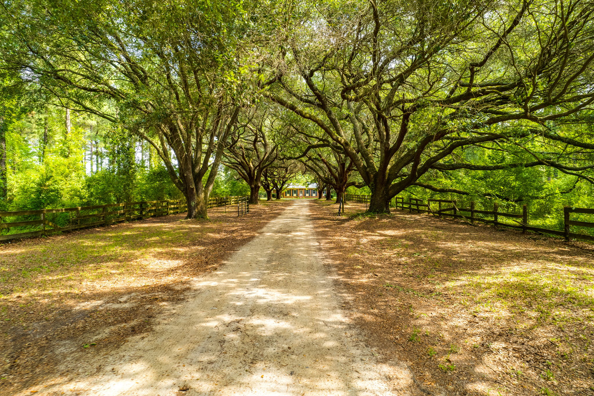 7297 Cabin Creek Rd, Eastover, SC 29044, USA Photo 52