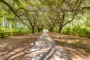 7297 Cabin Creek Rd, Eastover, SC 29044, USA Photo 0