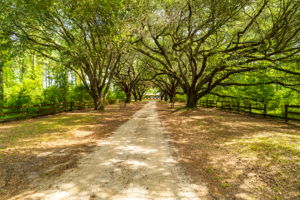 7297 Cabin Creek Rd, Eastover, SC 29044, USA Photo 51